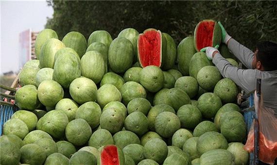 1700 تن هندوانه شب یلدا درارومیه توزیع می شود
