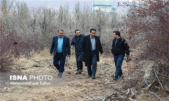 انتقاد مدیر کل حفاظت محیط زیست آذربایجان شرقی از قطع درختان بلوار 29 بهمن تبریز