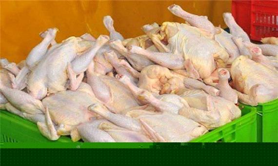 پیش بینی تولید بیش از 500 تن گوشت مرغ مازاد بر نیاز در آذربایجان غربی
