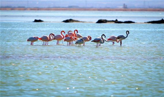همکاری 10 هزار کشاورز برای احیای تالاب های حوضه دریاچه ارومیه