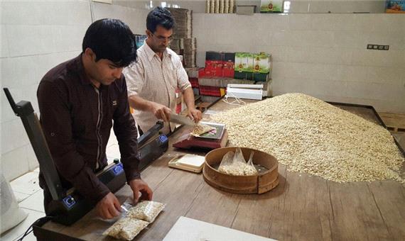 صنایع بسته بندی در استان اردبیل تقویت می شود