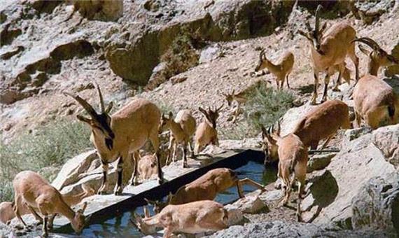 وسعت مناطق حفاظت شده استان اردبیل کاهش یافت