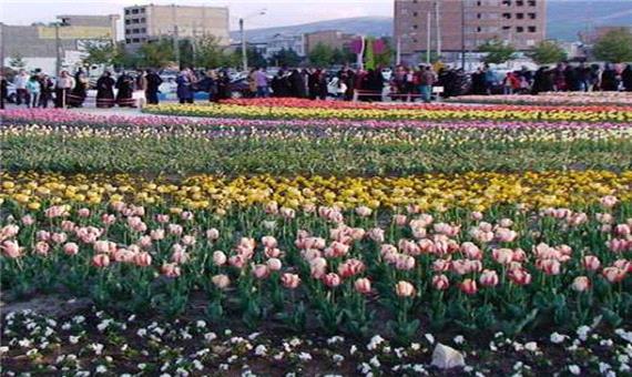 ارومیه با 4 میلیون بوته گل به استقبال بهار می رود