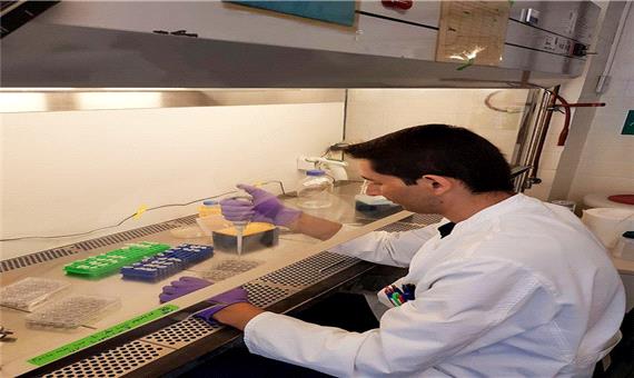 محققان دانشگاه تبریز موفق به کشف ترکیبات جدید با خواص ضدمیکروبی و ضدسرطانی شدند