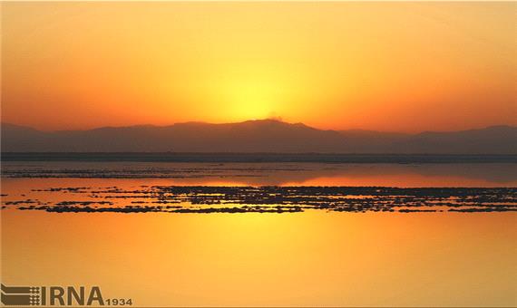 نوستالژی آب، نمک و آرتیمیا در دریاچه ارومیه