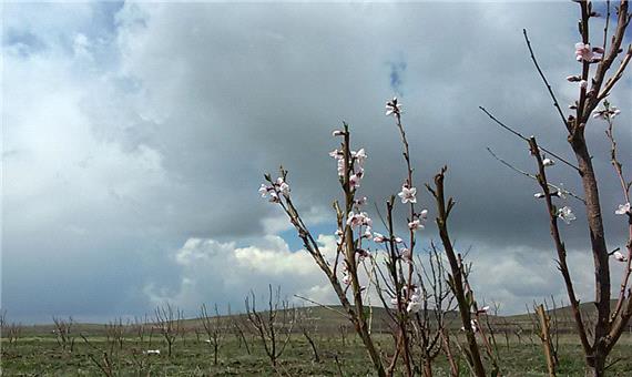 مردم استان اردبیل نخستین روز بهار را با باران آغاز کردند