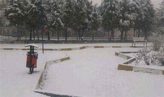 بارش برف بهاری درآذربایجان غربی/چهره شهرها سفید شد