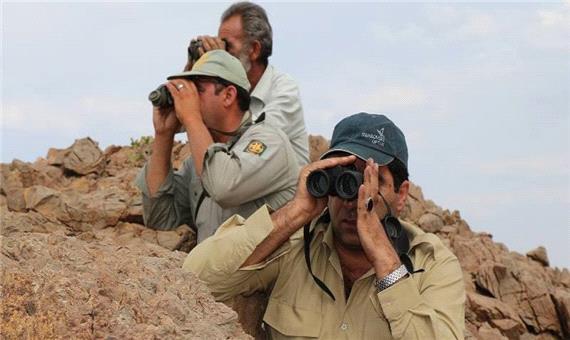 46 شکارچی غیرمجاز در شاهین دژ دستگیر شدند