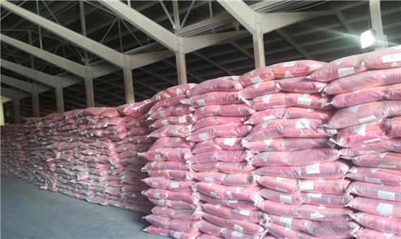 موجودی گندم در آذربایجان شرقی کفاف مصرف 5 ماهه استان را می‌دهد