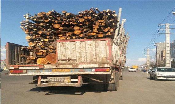 فرمانده یگان حفاظت منابع طبیعی اردبیل: قاچاق چوب تحت کنترل است