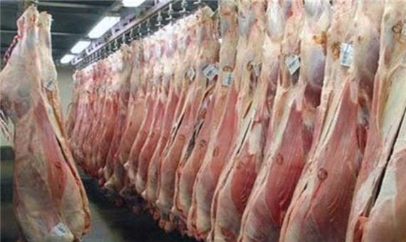 مدیرکل پشتیبانی امور دام آذربایجان شرقی: توزیع گوشت قرمز ادامه دارد