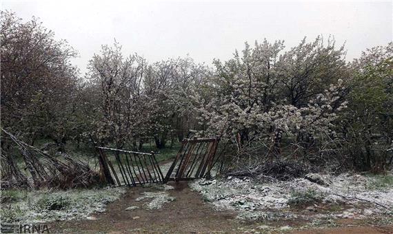 مشکلات برف در آذربایجان شرقی