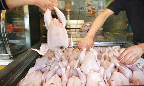 ماه رمضان کمبودی در عرضه مرغ نخواهیم داشت