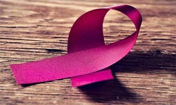 دومین همایش پیشگیری و تشخیص سرطان سینه در اردبیل برگزار شد