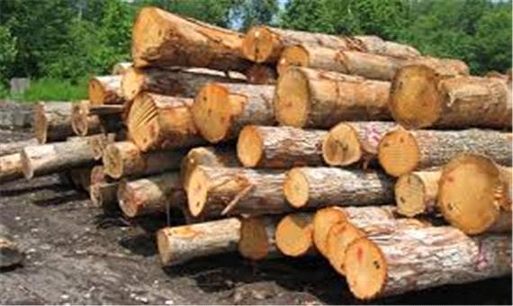کشف 88 اصله چوب آلات قاچاق جنگلی در اردبیل