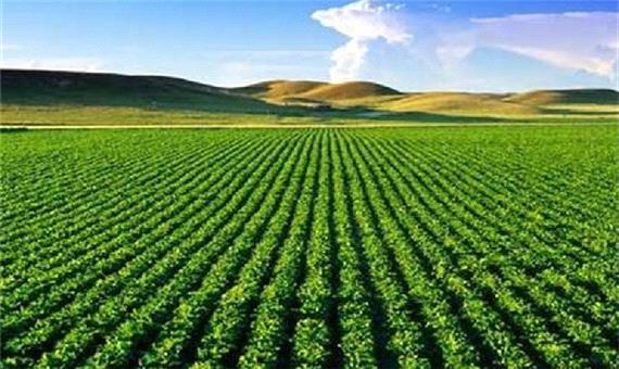 368 طرح در بخش کشاورزی آذربایجان غربی افتتاح می شود