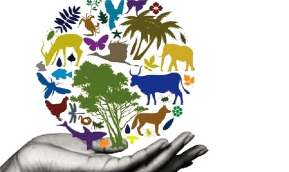 تضمین حیات انسانی با حفاظت از تنوع زیستی
