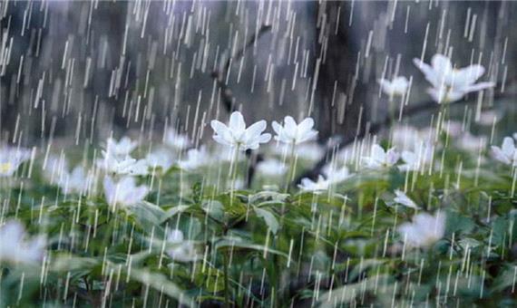 بارش باران بر طراوت بهاری ارومیه افزود