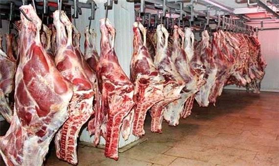بیش از 74 هزار تن گوشت در آذربایجان غربی آماده توزیع است