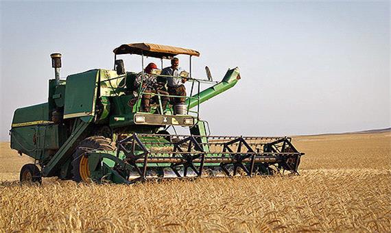 پیش بینی خرید تصمینی 600 هزار تن گندم مازاد بر نیاز زراعین آذربایجان غربی