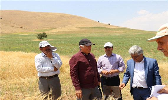 طرح‌های امنیت غذایی (ایکاردا) در اراضی کشاورزی 10 استان اجرا می‌شود