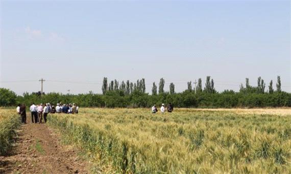 156 طرح در مراکز تحقیقات و آموزش کشاورزی آذربایجان غربی در حال اجراست