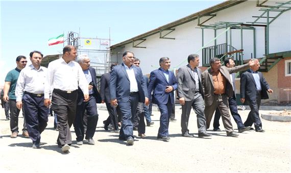 بزرگترین کشتارگاه صنعتی شمالغرب تا 3 ماه آینده در ارومیه به بهره برداری می رسد