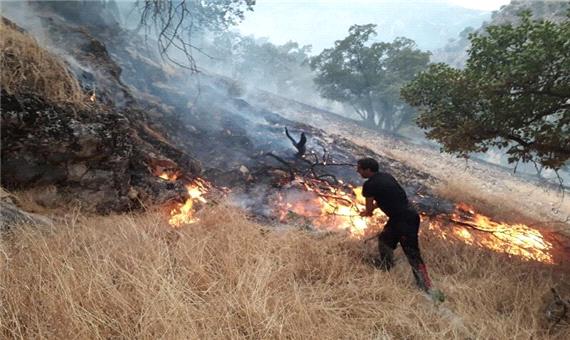 ظرفیت های مردمی در مهار آتش سوزی منابع طبیعی مورد توجه قرار گیرد