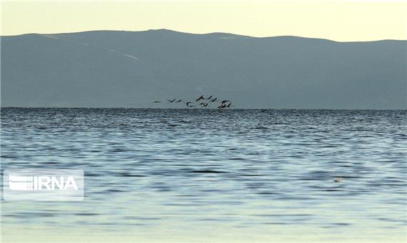 دریاچه ارومیه بار دیگر سوژه عکاسان می شود