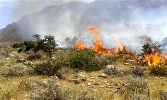 آتش به 10 هکتار از مراتع مهاباد خسارت زد