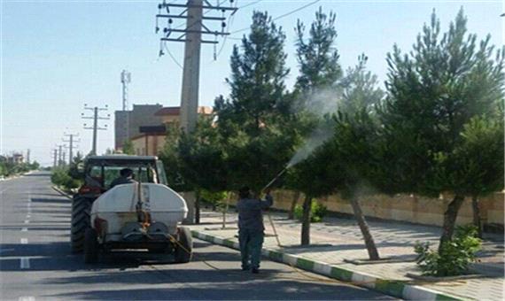 محلول پاشی درختان فضای سبز شهر ارومیه در حال اجرا است - پرتال شهرداری ارومیه