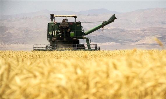 خرید تضمینی 577 هزار تن گندم در آذربایجان غربی آغاز شد