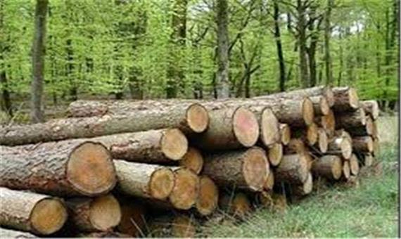 کشف 40 تن چوب قاچاق در شهرستان میانه
