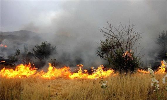 آتش سوزی علف های خشک در زمین کشاورزی/ پیرمرد 75 ساله جان باخت