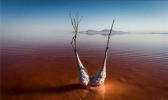 مشاهده موجود عجیب در دریاچه ارومیه صحت ندارد