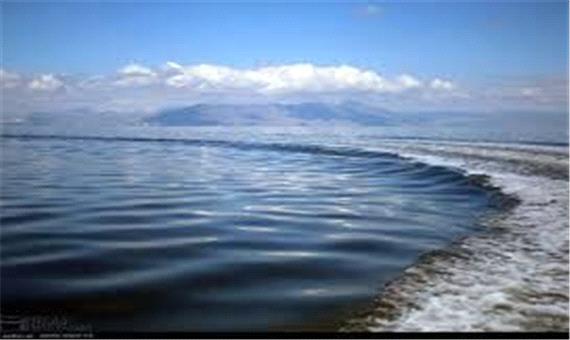 صحت تصاویر موجودات ریز درون دریاچه ارومیه بررسی می شود