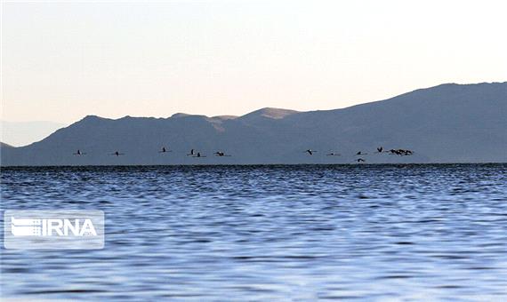 تراز دریاچه ارومیه نسبت به پارسال بیش از یک متر بالاتر است