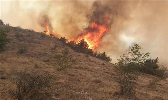 علل آتش سوزی جنگل‌های ارسباران در دست بررسی است