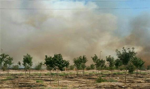 مهار آتش‌سوزی علف‌های هرز زمین‌های اطراف شرکت پالایش نفت تبریز