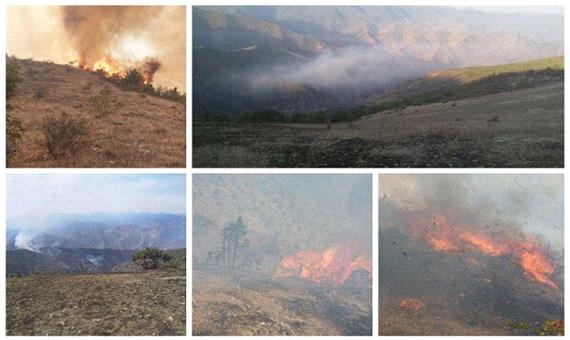 300 هکتار از جنگل‌های ارسباران در آتش سوخت
