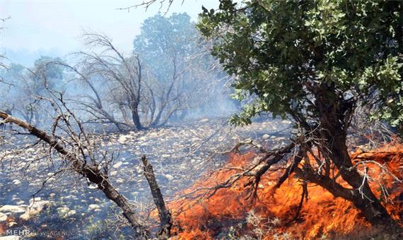 آتش سوزی جنگل‌های ارسباران به طور کامل مهار شد