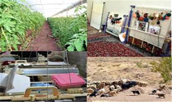 17 طرح اشتغال زایی روستایی در آذربایجان غربی راه اندازی می شود