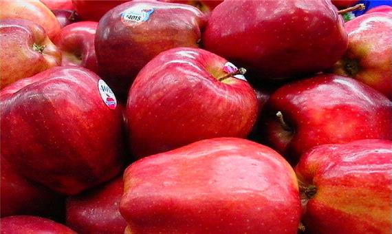 قیمت سیب هرچه سریعتر مشخص شود