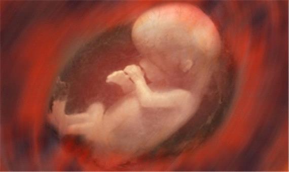 استان تهران رکورددار سقط جنین در کشور