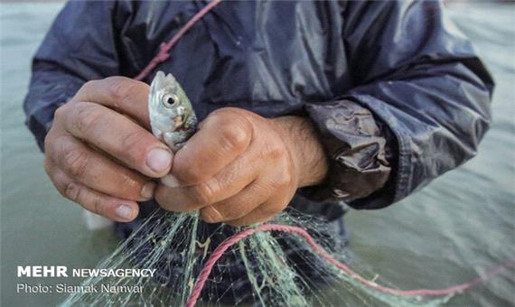 فصل صید ماهی از دریاچه پشت سد ارس آغاز شد
