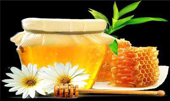 800 تن عسل در خلخال تولید شد