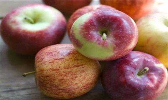 رایزنی برای توسعه صادرات سیب از طریق اتحادیه‌های بین‌المللی
