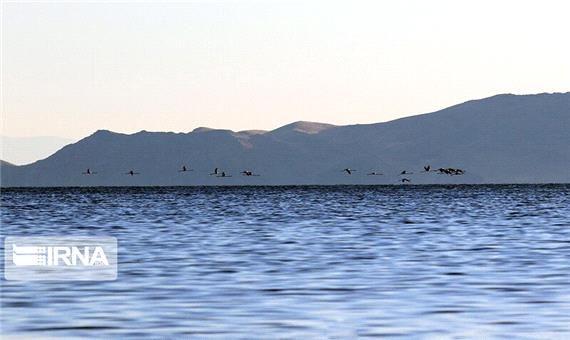 آب دریاچه ارومیه 60 میلیون مترمکعب افزایش یافت