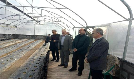 اجرای طرح ملی احداث گلخانه‌های کوچک مقیاس در اردبیل