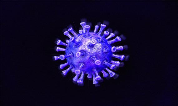 آخرین وضعیت استان‌های درگیر با ویروس کرونا